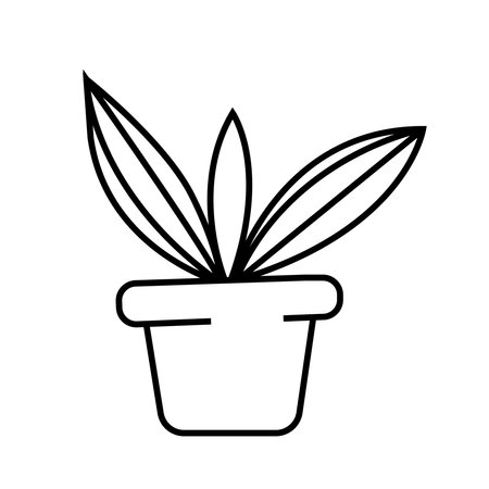 Plant in the pot. Vector illustration in doodle style.のイラスト素材
