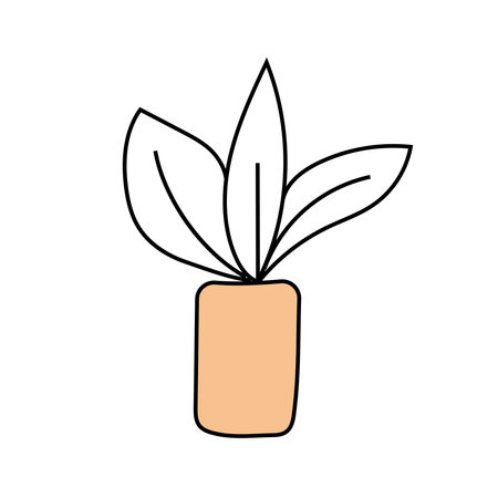 indoor plant doodle. Vector isolated on white backgroundのイラスト素材
