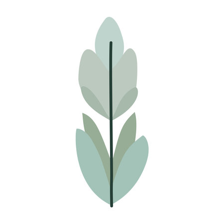 Leaves, branch simple, abstract, colorful. Vector illustration, isolated on white backgroundのイラスト素材