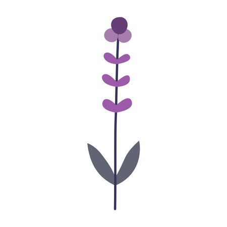 cute lavender flower icon over white background. colorful design. vector illustrationのイラスト素材