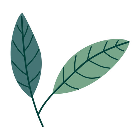 Leaves on a branch, colored. Cute illustration, vector, color, simple. Cartoon, flat. Isolated on white backgroundのイラスト素材