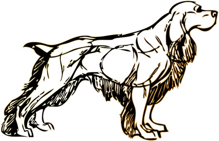 simple drawing of a dog with vector effectのイラスト素材