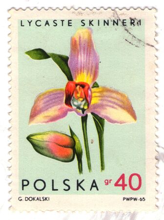 the postage stamp of Poland of 1965 yearの写真素材