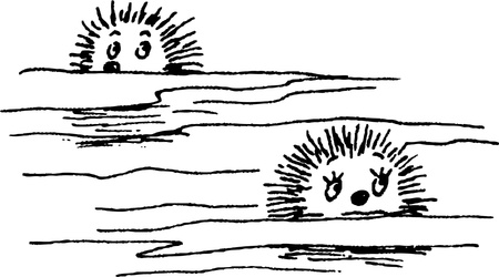 swimming hedgehogsのイラスト素材