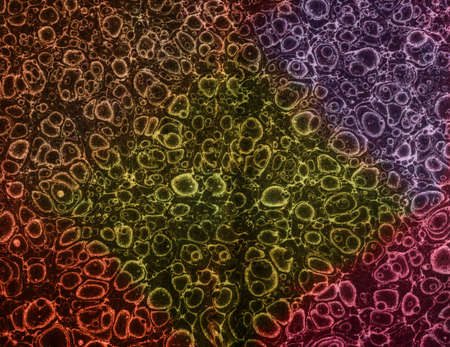 image of a simple patternの写真素材