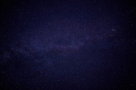 Starry sky with single tree as silhouette