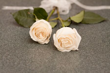 White Wedding Roses on Gray Tableの写真素材