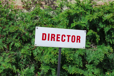 Director parking sign, red letters, reserved place, behind green natural background. Sunny daylight.