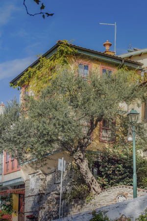 The architecture of Kavala - a house in the Old Town with olive tree and shrubs with colorful fruits - a typical view of Greece, which is always so charming.の写真素材