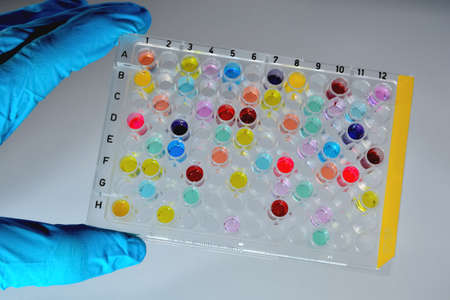 sample plate examining samples 96 well plate high throuput