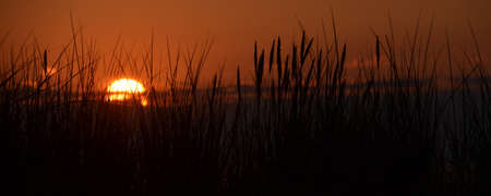 nearly set sun sunset at dune backlight grass on baltic seaの写真素材