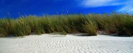 Dune panoramic view blue sky green dune grass white sandの写真素材