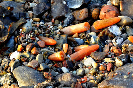 Thunderbolt beach findings sand stones baltic seaの写真素材