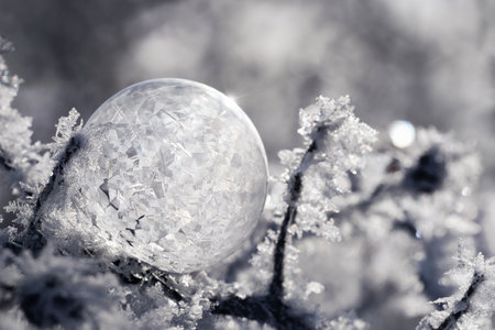 frozen soap bubble with backlight and sparkle effect close-upの写真素材