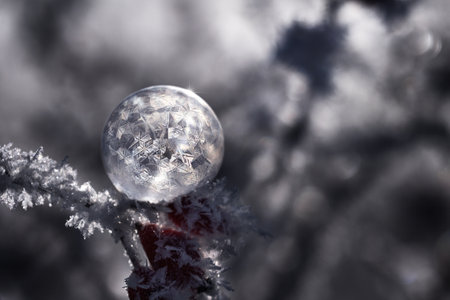 Macro Close-up of frozen soap bubble ice bubble backlight and sparkle effect background texture - christmas, winter, santaの写真素材