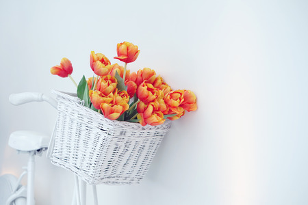 White bicycle with red tulips floral basket isolated on white background. Retro old-fashioned style.の写真素材
