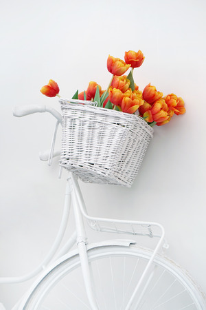 White bicycle with red tulips floral basket isolated on white background. Retro old-fashioned style.の写真素材