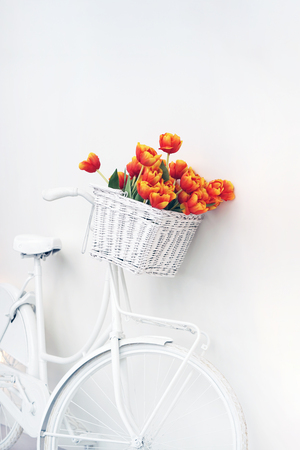 White bicycle with red tulips floral basket isolated on white background. Retro old-fashioned style. Card for womens day, valentines day.の写真素材