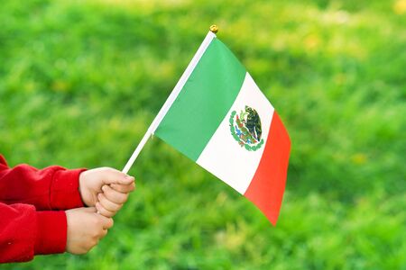 Hands of kid girl holding Mexico flag. Independence Day concept. Green grass background.の写真素材
