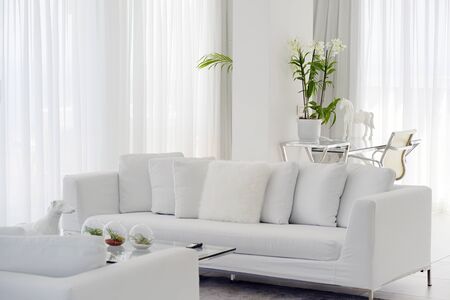 Interior of the living room of the hotel. Beautiful living room with white sofa. White Concept Living Room Interior. Modern bed room interior in Luxury villa. White colours, big windowの写真素材