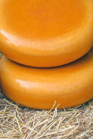 Two heads of yellow Dutch cheese lie on the hay in a private dairy.の写真素材