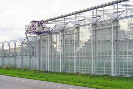 Glasshouses or greenhouses for growing vegetables against sky. On the outside of the greenhouses in The Netherlands. High tech industrial production of vegetables and flowers.のeditorial素材
