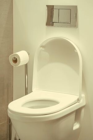 Toilet paper roll in restroom in home. Closeup of toilet bowl and roll on toilet paper holder in luxury hotel.の写真素材