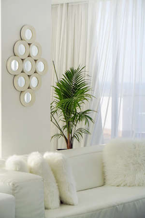 Living room with white sofa.の写真素材