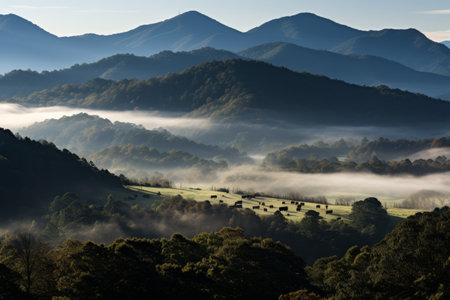 Tranquil scenic view of lush green hills blanketed in morning fog on a clear summer dayの素材