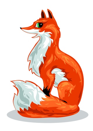 red Fox sits on a white backgroundのイラスト素材