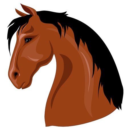 Head of brown horse with black mane against a white backgroundのイラスト素材