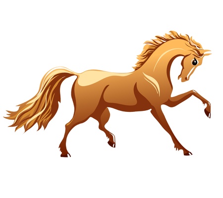 beautiful brown horse in motion on a white backgroundのイラスト素材