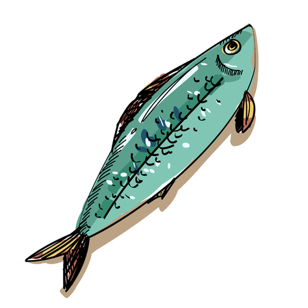 illustration fish isolatedのイラスト素材