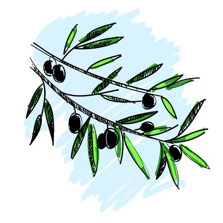 illustration of olive branch isolatedのイラスト素材