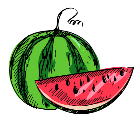 illustration of ripe watermelon isolatedのイラスト素材