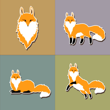 Cute fox sticker set, vectorのイラスト素材