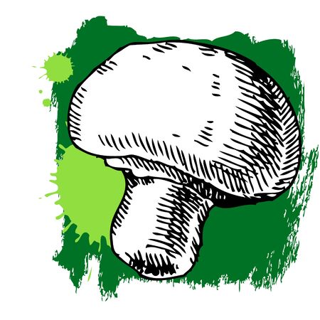 Hand drawn mushroom. Can be used for vegan products, brochures, banner, restaurant menu, farmers market and organic food storeのイラスト素材