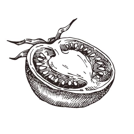 Hand drawn tomato. Vector illustration for restaurant menu design, farmers market and organic food storeのイラスト素材