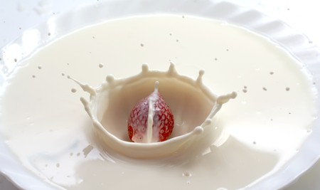 Strawberry in creamの写真素材