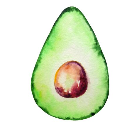 watercolor avocado exotic tropical fruit green with brown stone

の写真素材