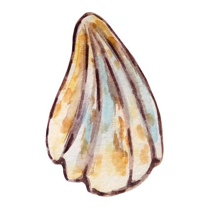 watercolor sea underwater shell hand drawn yellow with blue isolated on white backgroundの写真素材