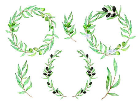 Set of watercolor wreaths from a branch of an olive tree with leaves and olives. Black and green olives on a variety of branches. Hand painted illustration isolated on white background for design, print, fabric or background.の写真素材