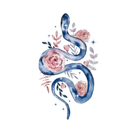 Watercolor illustration. Magic selestial abstract composition. A snake with flowers and stars. Composition isolated on white background.の写真素材