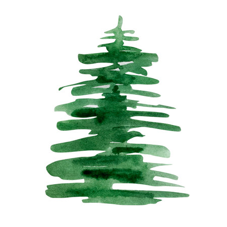 Watercolor illustration winter greenery, green spruce isolated on white backgroundの写真素材