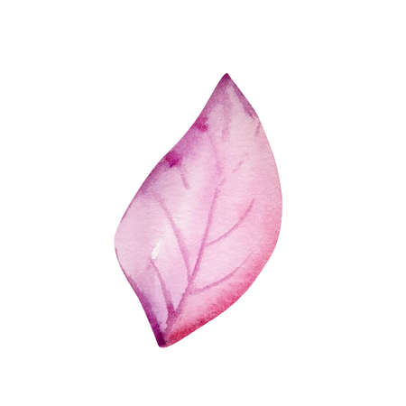 watercolor pink purple leaf isolated, for invitation designsの写真素材