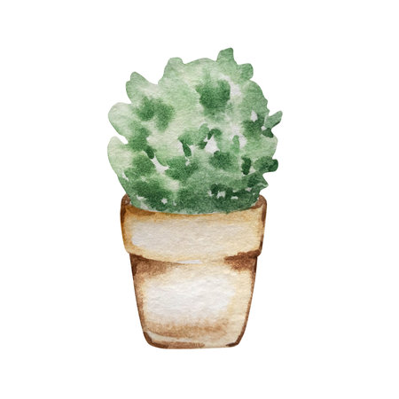 watercolor brown clay pot with plantの写真素材