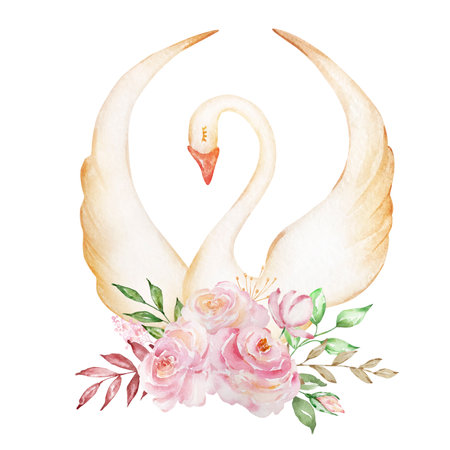Watercolor delicate white swan with a bouquet of rosesの写真素材