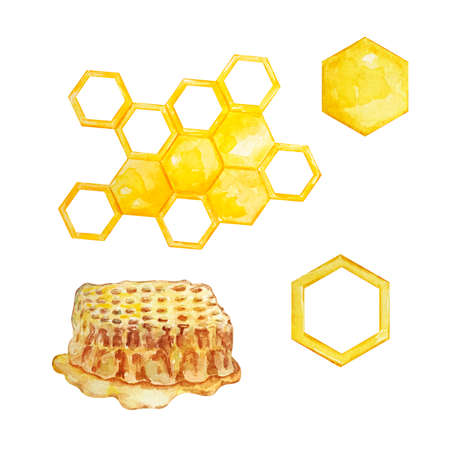 Watercolor honey set, different honeycombs on a white backgroundの写真素材