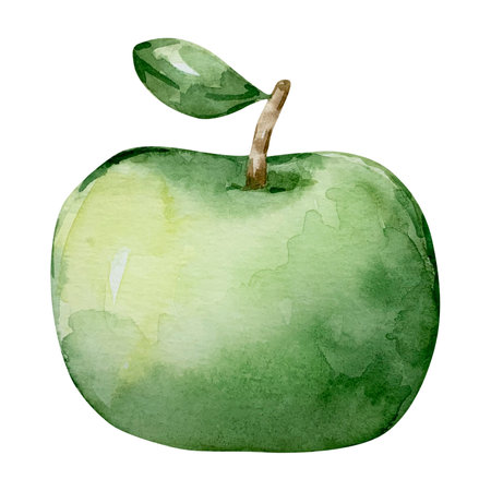 Watercolor autumn juicy green ripe apple isolatedの写真素材
