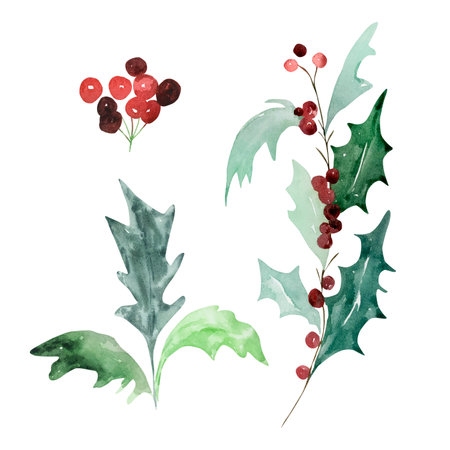 Set of watercolor traditional winter branches with leaves for modern Christmas designsのイラスト素材
